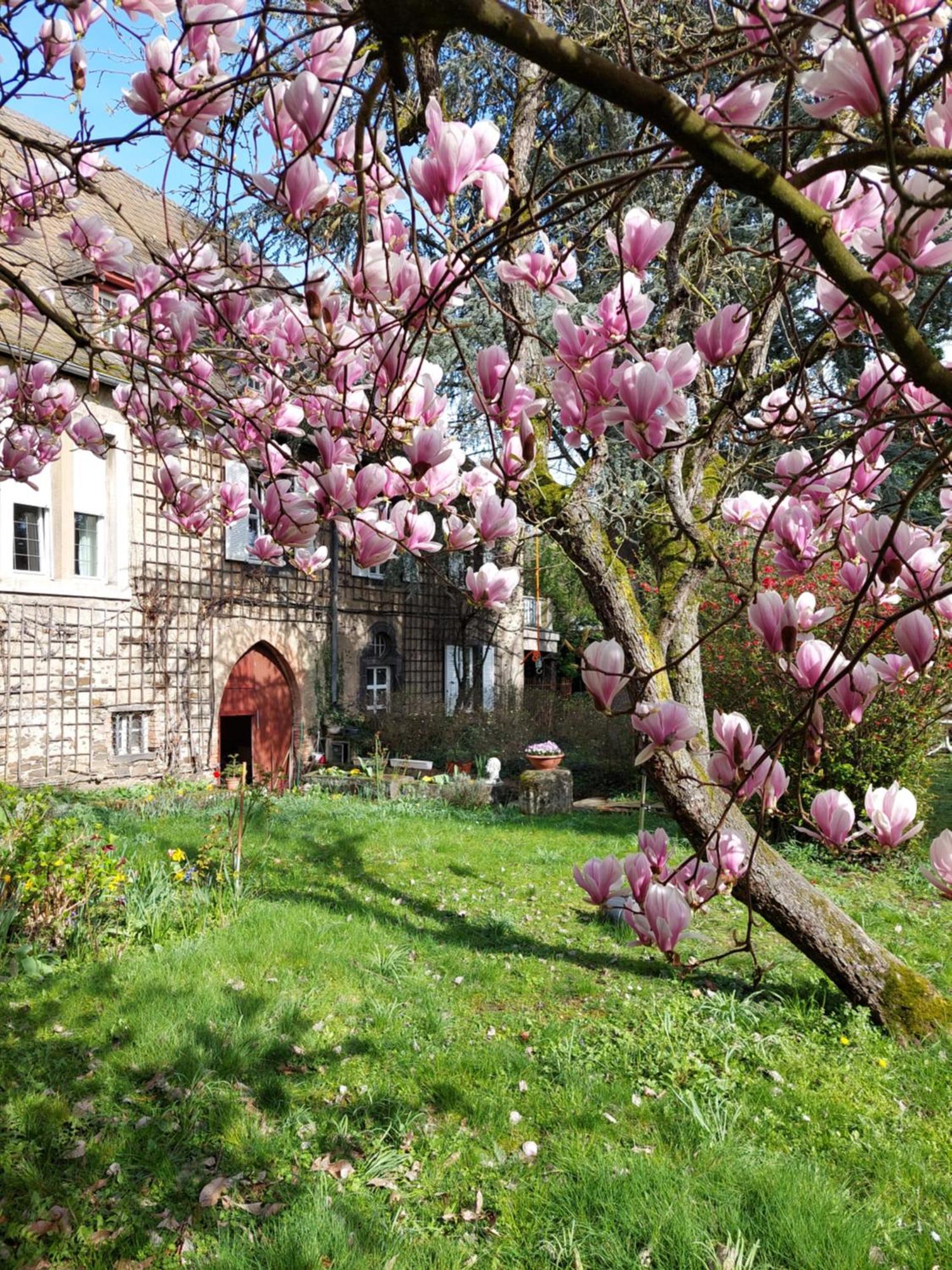 Pension Marienhof Kobern-Gondorf Dış mekan fotoğraf